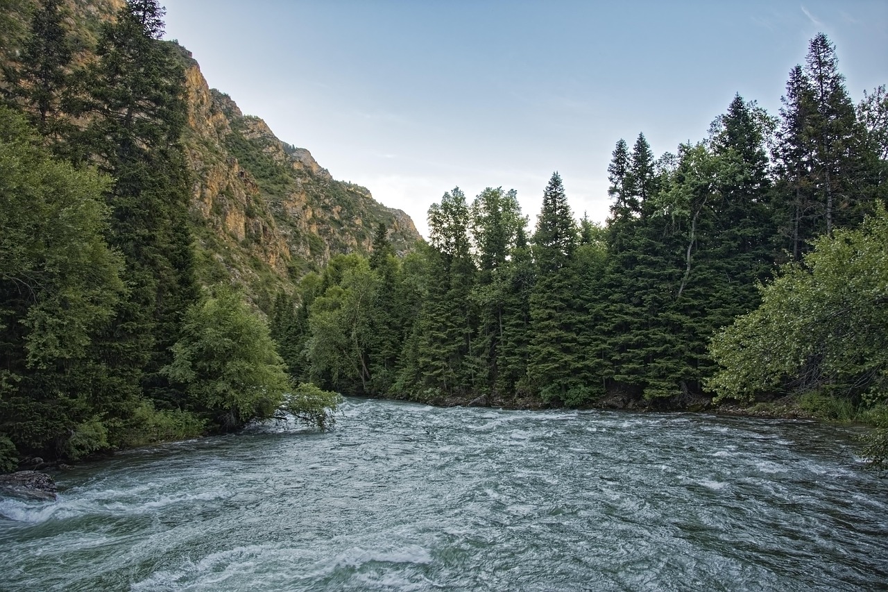 Energy, Water, and the Politics of Scarcity in Central Asia