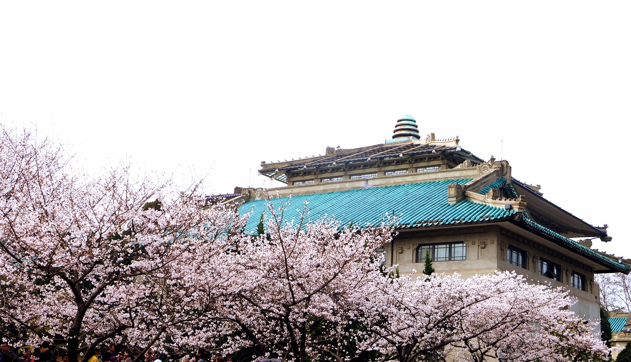 The New Silk Road of Ideas: How China's Universities Are Reshaping Global Education